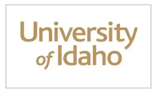University Image